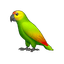 Parrot